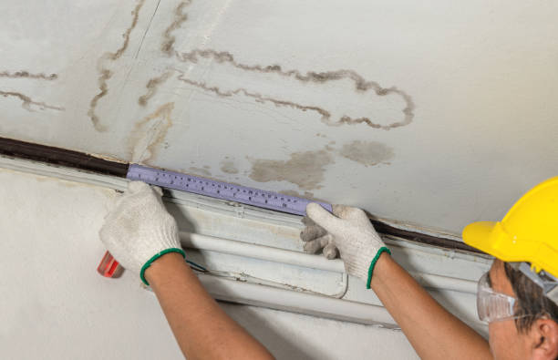 Reliable Water Damage contractor in Stetson, ME by Water Damage Irwin